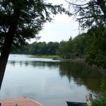 Marshlands to explore