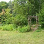 Well treed property