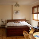 Spacious master bedroom. King bed