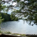 View from the front deck in late Spring when water level is high.