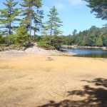 By late summer you can walk to the island!