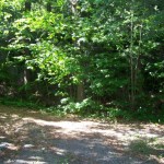 Driveway and forest behind the cottage. Long, private laneway for strolls. Driveway and forest behind the cottage. Long, private laneway for strolls.