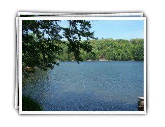 Just in Time Cottage - On a quiet bay