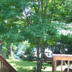 Another view from deck.