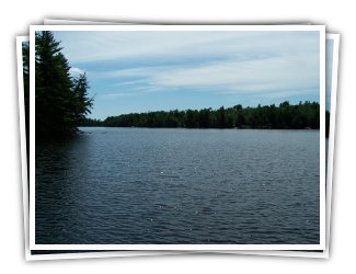 Rooster Retreat on Redstone Lake - Haliburton Highlands