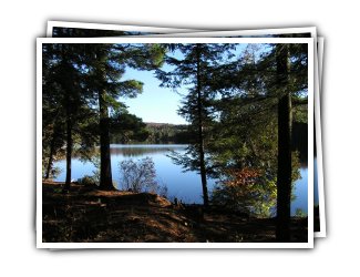 Lynne's Hideaway - Lake View