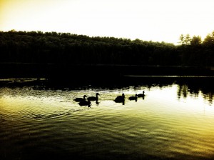 Blue Lake - Haliburton Forest
