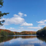 a autumn panorama