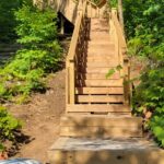 from the lake to the treetops