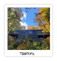Treetops