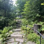 Path to the dock
